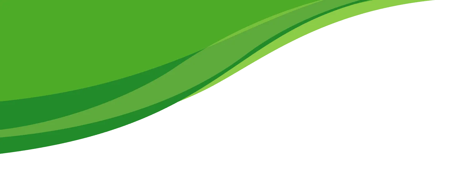 Dekorációs háttér a fejlécnek